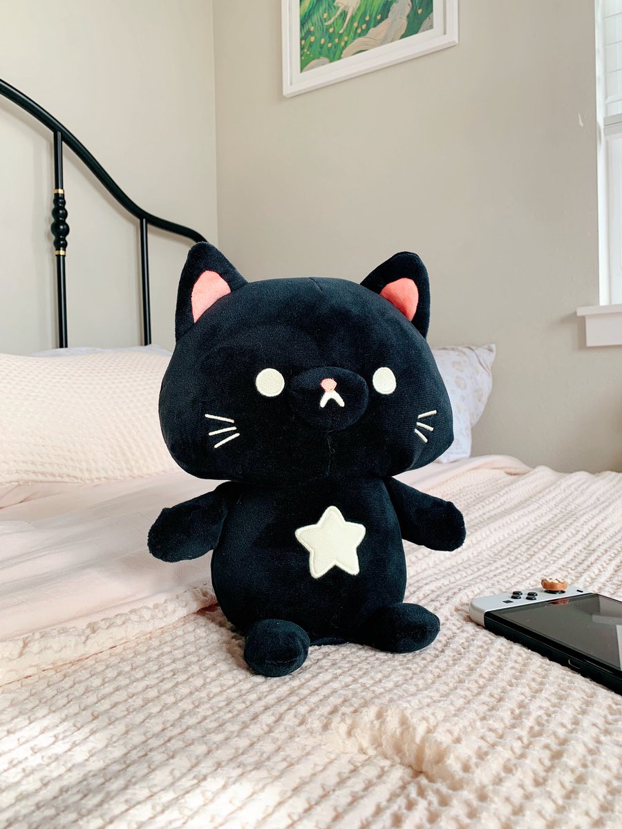 chocolettchoo's tweet photo. Cat plushies are now discounted to 30! I just have way too many of them pls help me take them off my hands lol! 😭😭💕 https://t.co/np62kLMC16