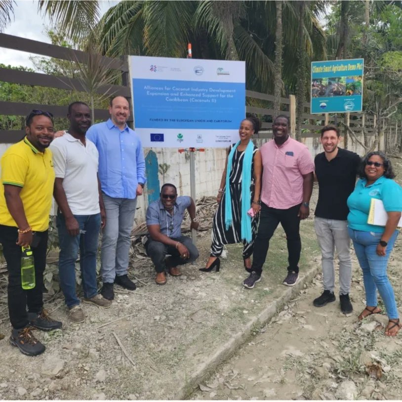 Alligator Head Foundation tweet media