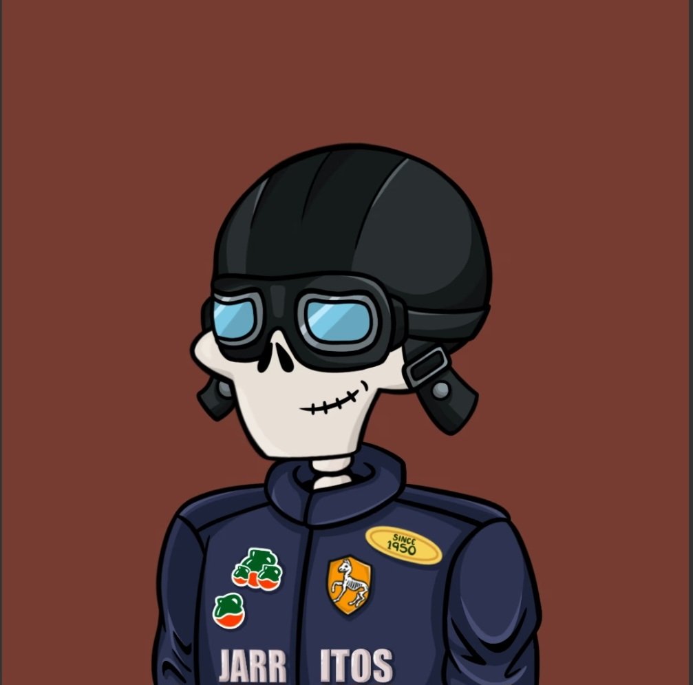 JB0NE_'s tweet photo. My beautiful Bones by @Jarritos has brought me all of these for FREE. Not only has the FP has been slowly grinding up naturally but this has been the most rewarding nft community I've been a part of. This is just the beginning... BONES FAMILA POR VIDA. #bonesbyjarritos https://t.co/1YVtRfvlVv