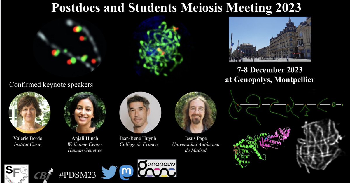 Chloe Girard, PhD tweet media