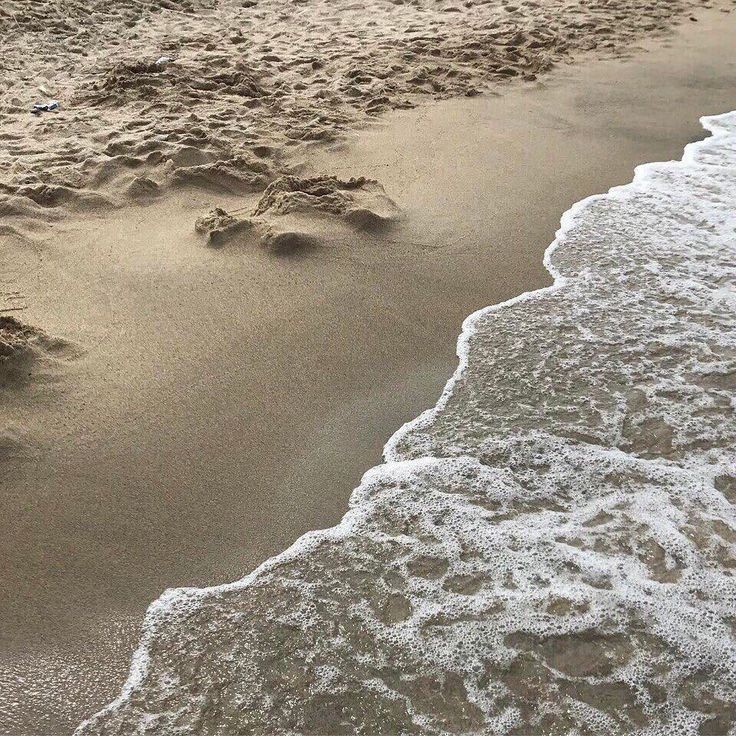 inactivo ;༊ tweet media