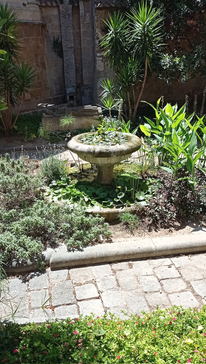 jaubargon's tweet image. A Tarragona aquest estiu només hi ha aigua en terra beneïda #FontsSeques #TincSet