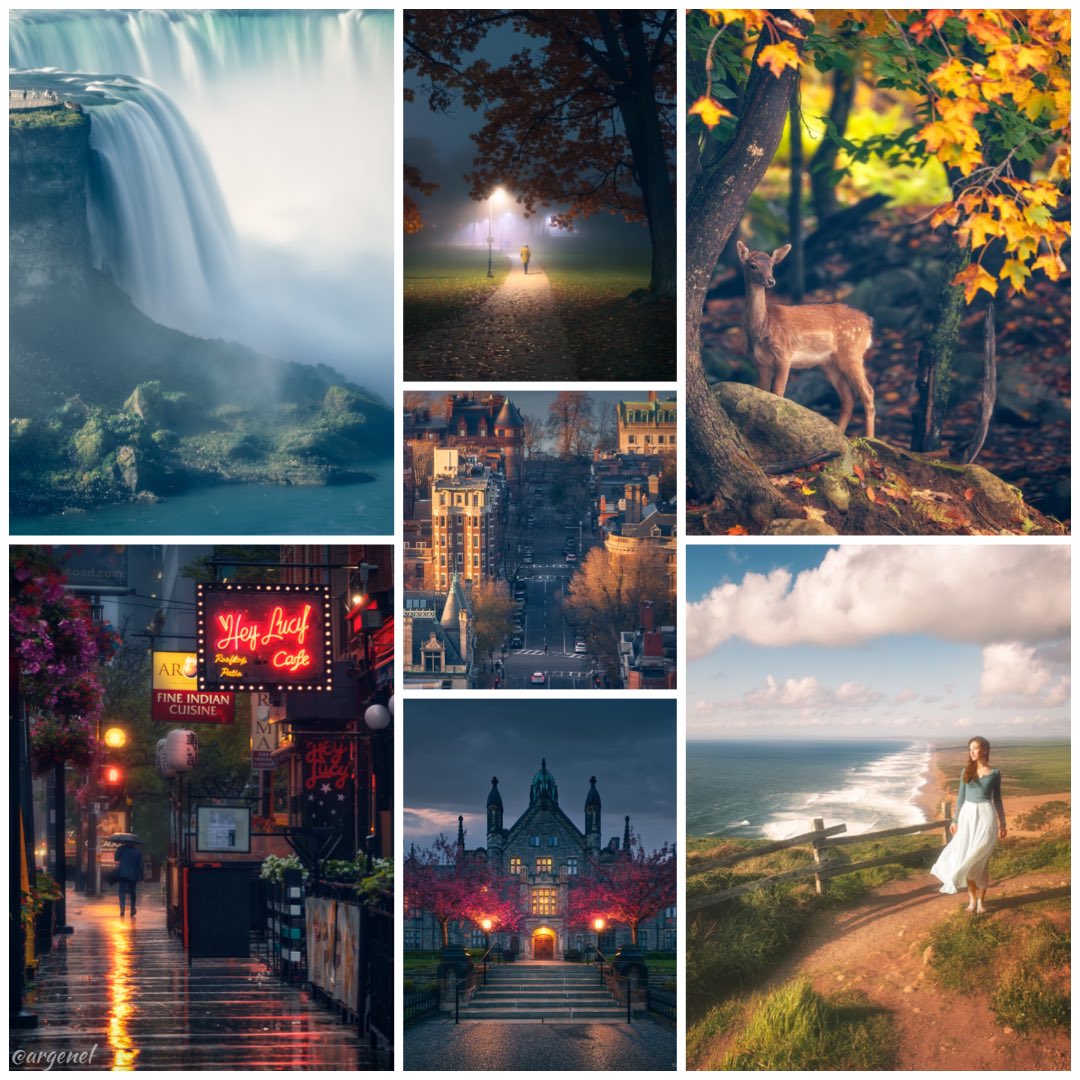 Everyone: Choose a photography genre and stick to it!
Me: