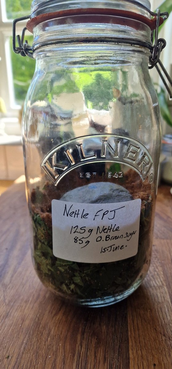 CTNsandwich's tweet image. Looking forward to making the next batch of Nettle fermented plant juice (FPJ) with the children and trialing at the Community Tree Nursery
#feedthetrees #FunExperiment #communitytreenursery  
#fermentedplantjuice @PaulBooth58 @SandwichJunior @TheTreeCouncil