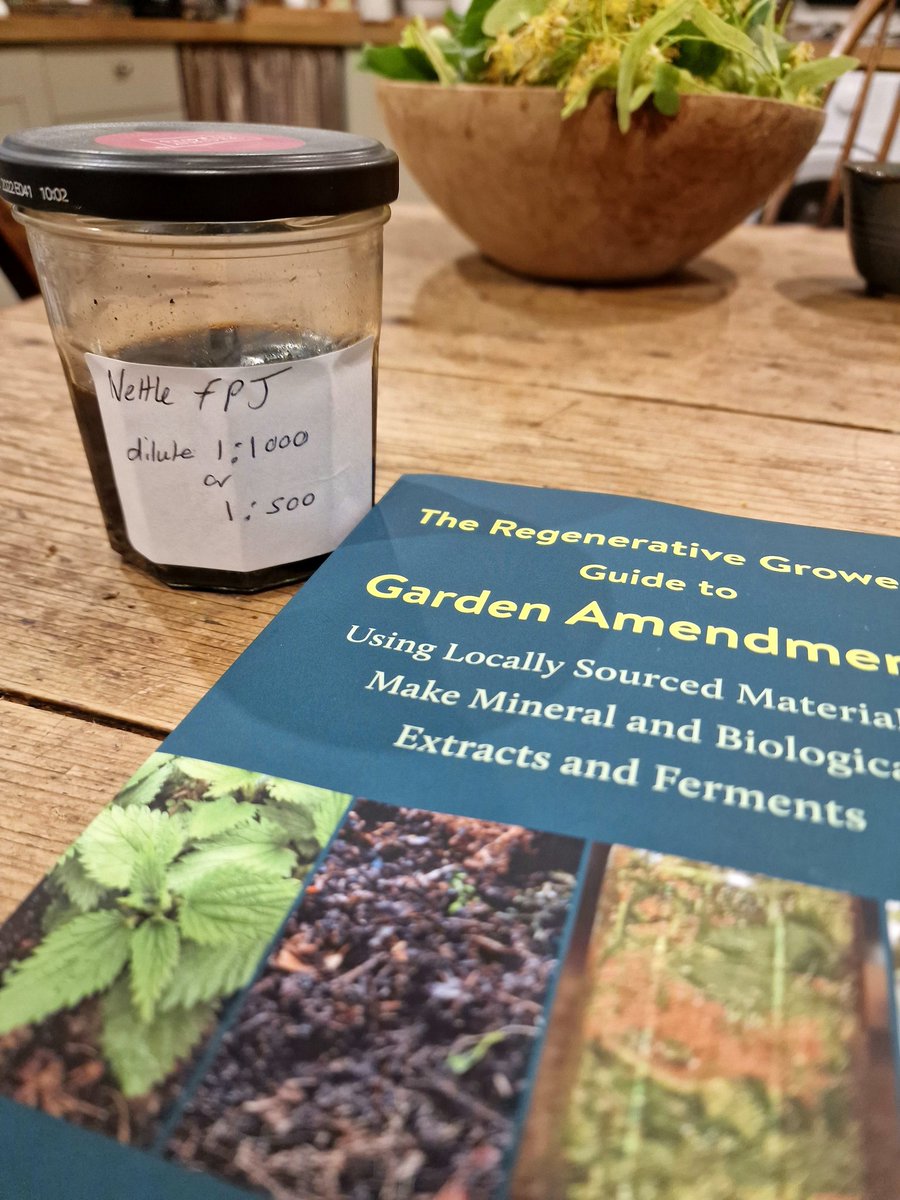 CTNsandwich's tweet image. Looking forward to making the next batch of Nettle fermented plant juice (FPJ) with the children and trialing at the Community Tree Nursery
#feedthetrees #FunExperiment #communitytreenursery  
#fermentedplantjuice @PaulBooth58 @SandwichJunior @TheTreeCouncil