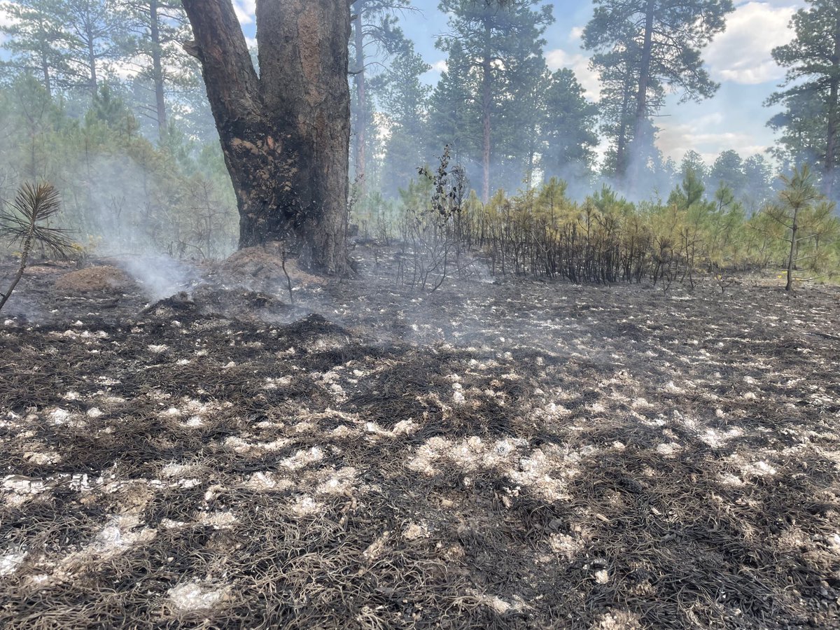 USFS_Pike&San Isabel tweet media