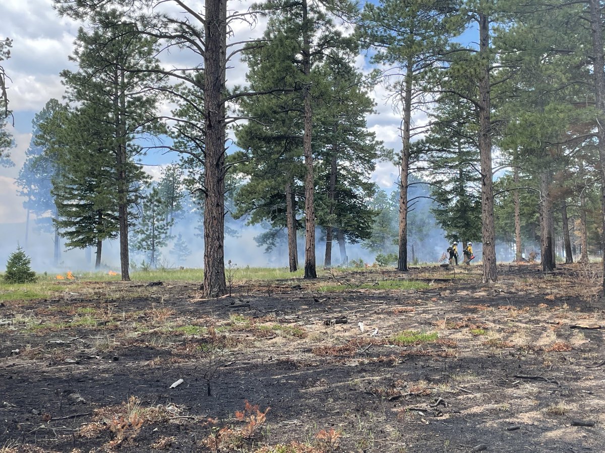 USFS_Pike&San Isabel tweet media