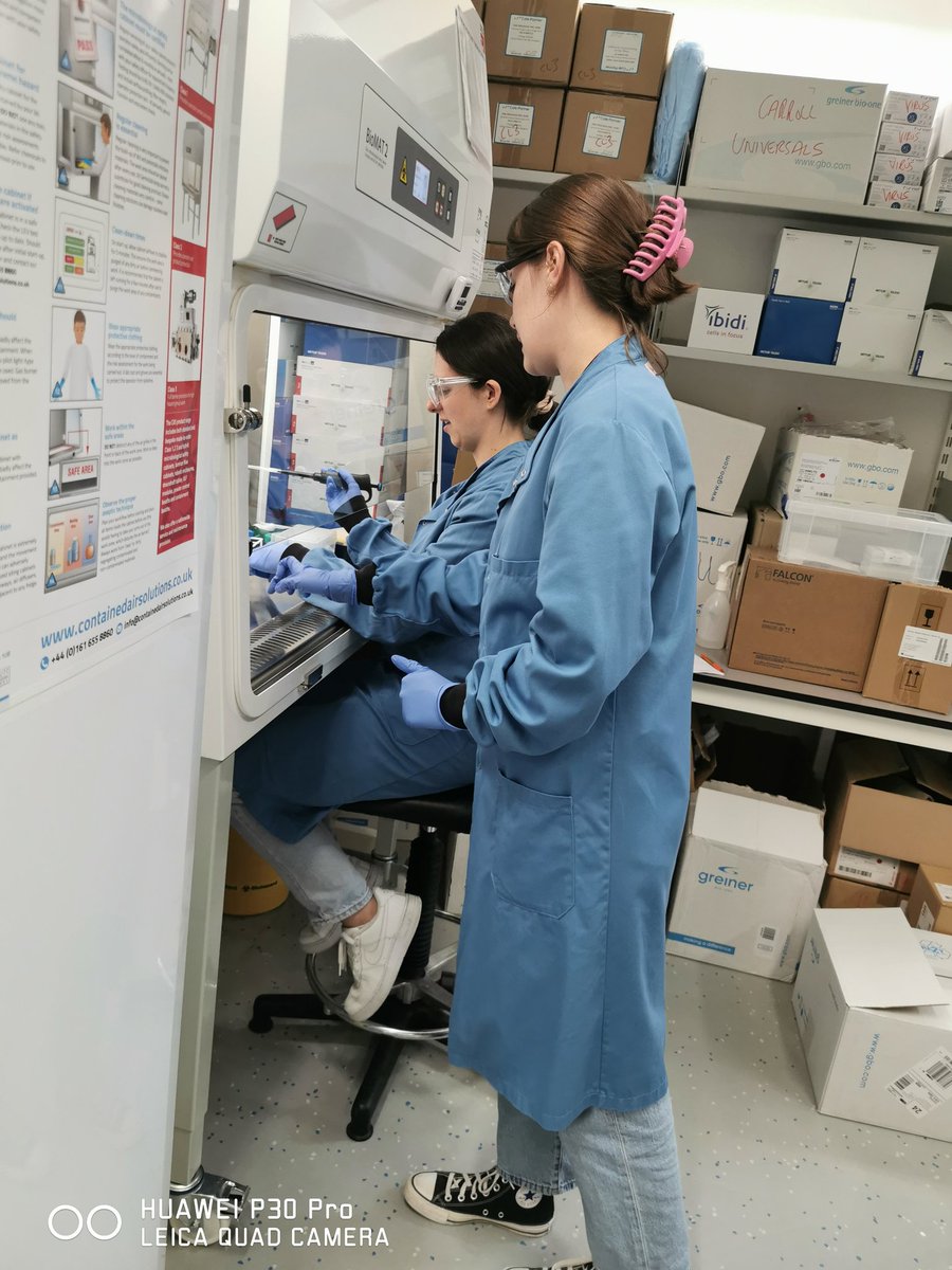 DrMilly_Africa's tweet photo. How many Yasmins does it take to run an #ELISpot? 2 today in the @Carroll_Lab_Ox 😅 Our lovely research assistant was showing our new student around, and teaching her one of my favorite assays. #ScienceTwitter #AcademicTwitter #AcademicChatter #immunology #teaching #learning https://t.co/UrU1RcUzs0