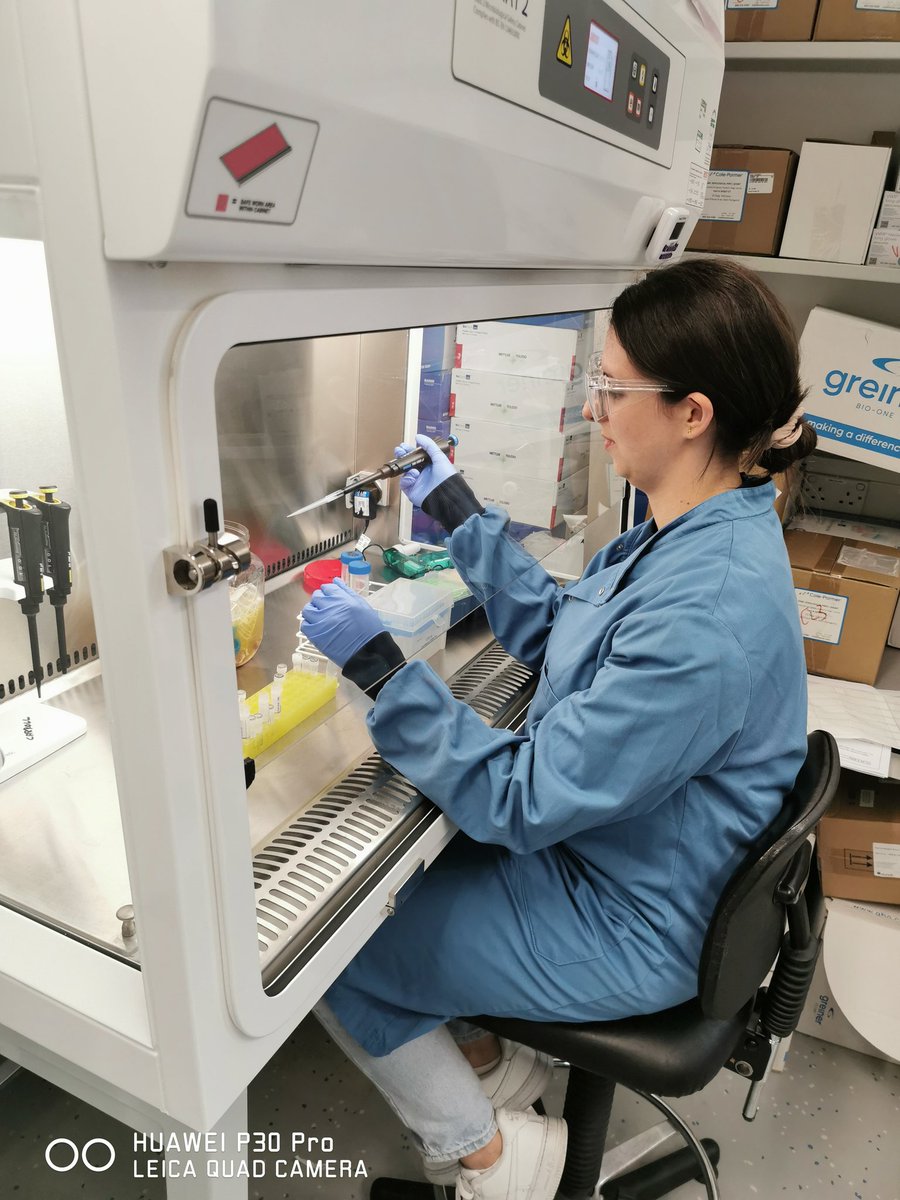 DrMilly_Africa's tweet photo. How many Yasmins does it take to run an #ELISpot? 2 today in the @Carroll_Lab_Ox 😅 Our lovely research assistant was showing our new student around, and teaching her one of my favorite assays. #ScienceTwitter #AcademicTwitter #AcademicChatter #immunology #teaching #learning https://t.co/UrU1RcUzs0