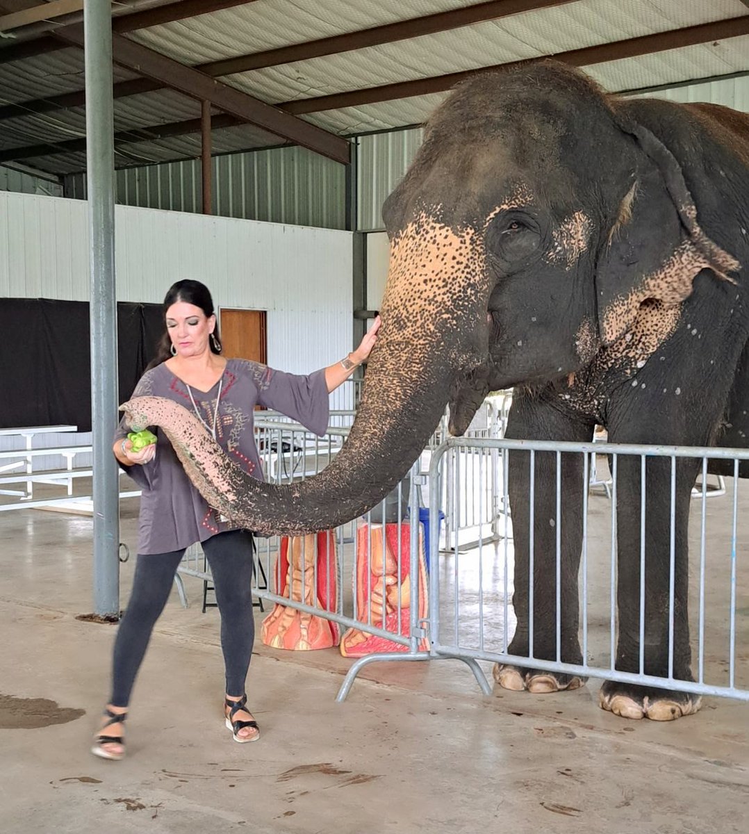 SATW’s Western Chptr in Oklahoma City is taking their research seriously but also having a whole lot of fun while doing it! Stories will be varied, interesting! OKC is definitely worth the trip! #SATW #okc @visitokc @TravelOK Photos: Alison DaRosa, Terri Guthrie, Eric Lindberg.