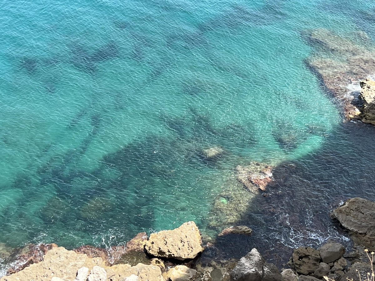 The Caribbean? No it’s @GorhamsCave @GibMarine this afternoon! @ThinkingGreenGI @FinlaysonGib @GibGerry @GibraltarMuseum @gibraltar_visit @VisitTheRock @InfoGibraltar @gonhs @cortes_john