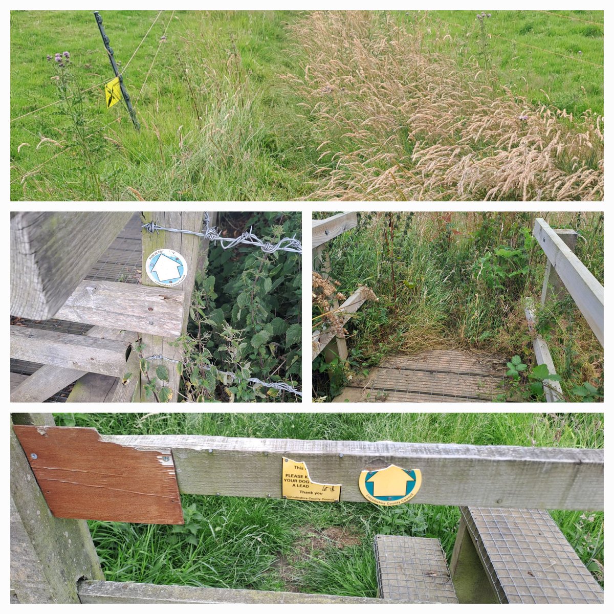 nikradford1's tweet photo. Today PPPP DIVA and I went on our first practice #countrysideaccess #volunteer walkies to see if anything needed sorting. All looks good, just a couple of tidy ups needed I think 🤔 🚶‍♀️🐶 https://t.co/2563HgPbC5