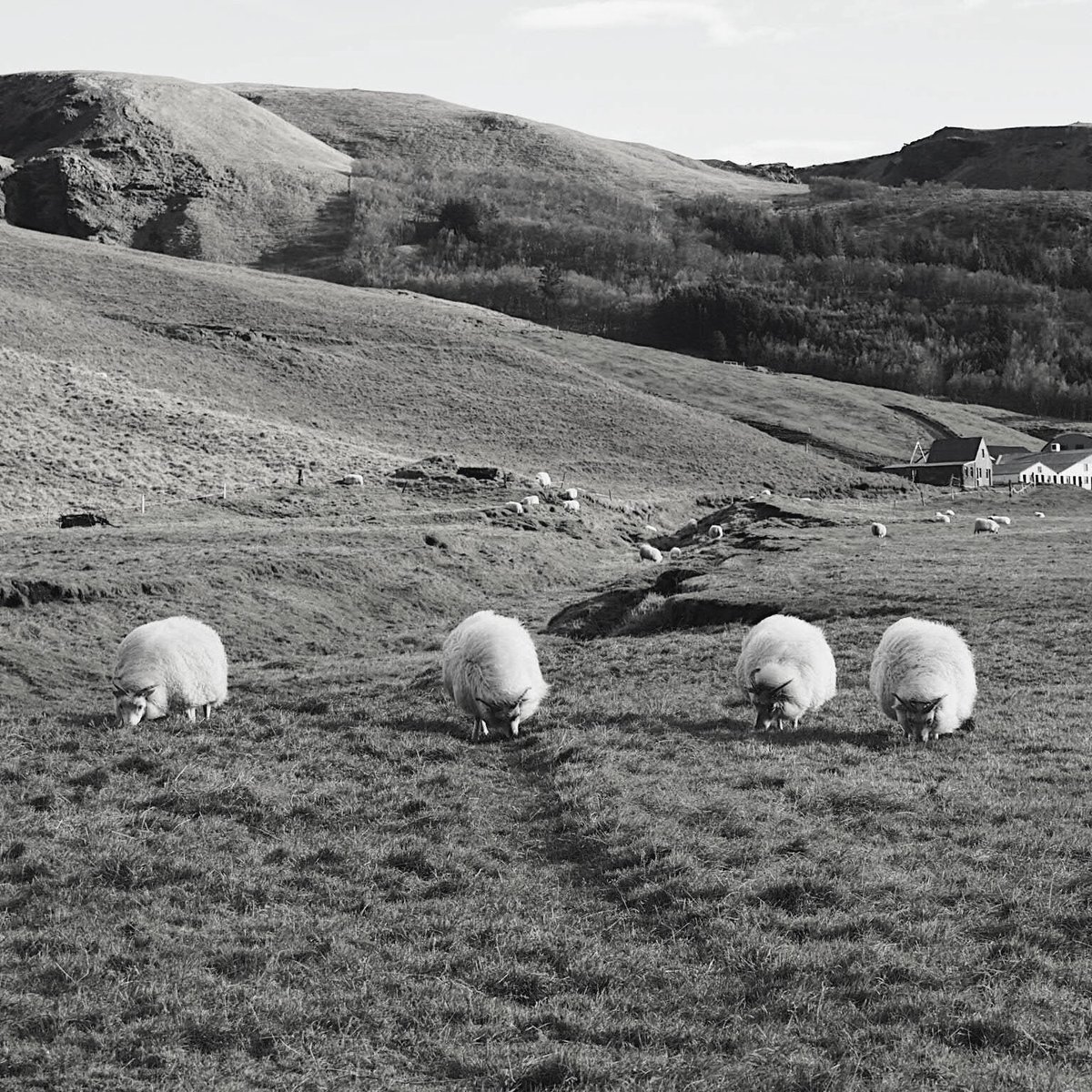 ICYMI: ky's solo EP out now