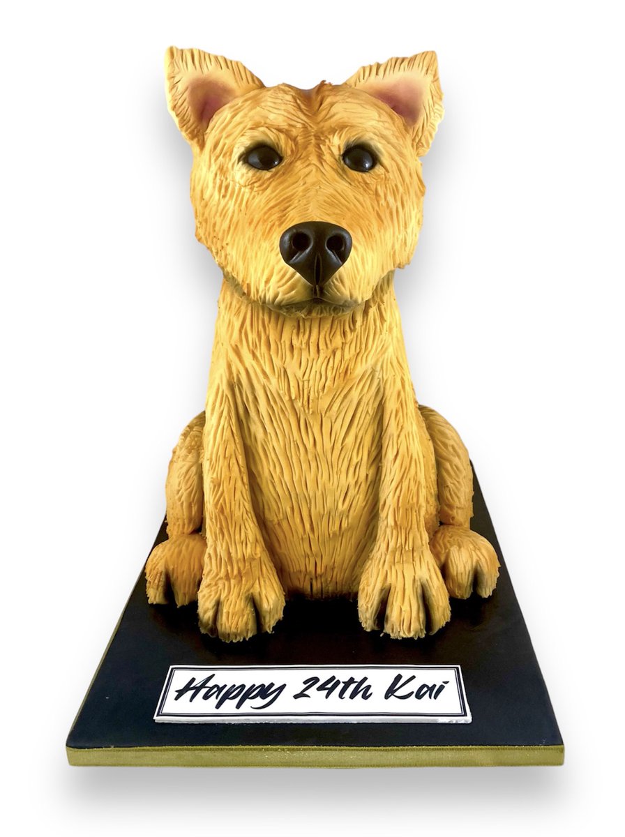 Loved creating this dog cake for Kai! Xx For daily 🍰 follow our IG 📸 instagram.com/redbutterflyba… catch us on FB 👍 facebook.com/redbutterflyba… Xx FREE local delivery  #manchester #rochdale