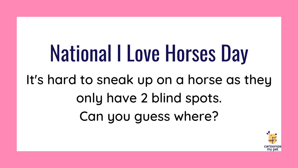 CartoonizeMyPet's tweet photo. National I Love Horses Day - July 13th Can you answer today’s trivia? https://t.co/IOyQX7MDS8