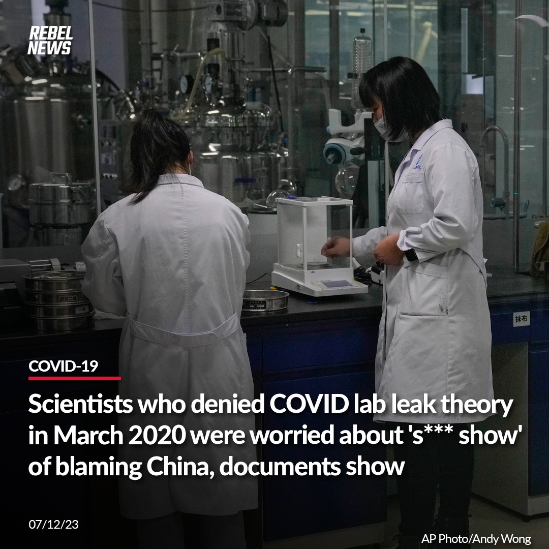 Rebel News on Twitter "Internal Slack communications obtained by a U.S