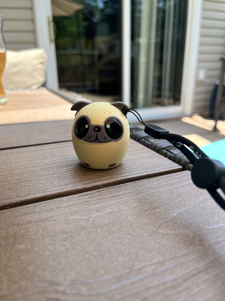 GG_FFBOTS's tweet photo. Even my speaker is dog related 😂 #dogwalker #smallbusinessowner #pug #hudsonvalleyny #socite https://t.co/TUgdCC7W0g