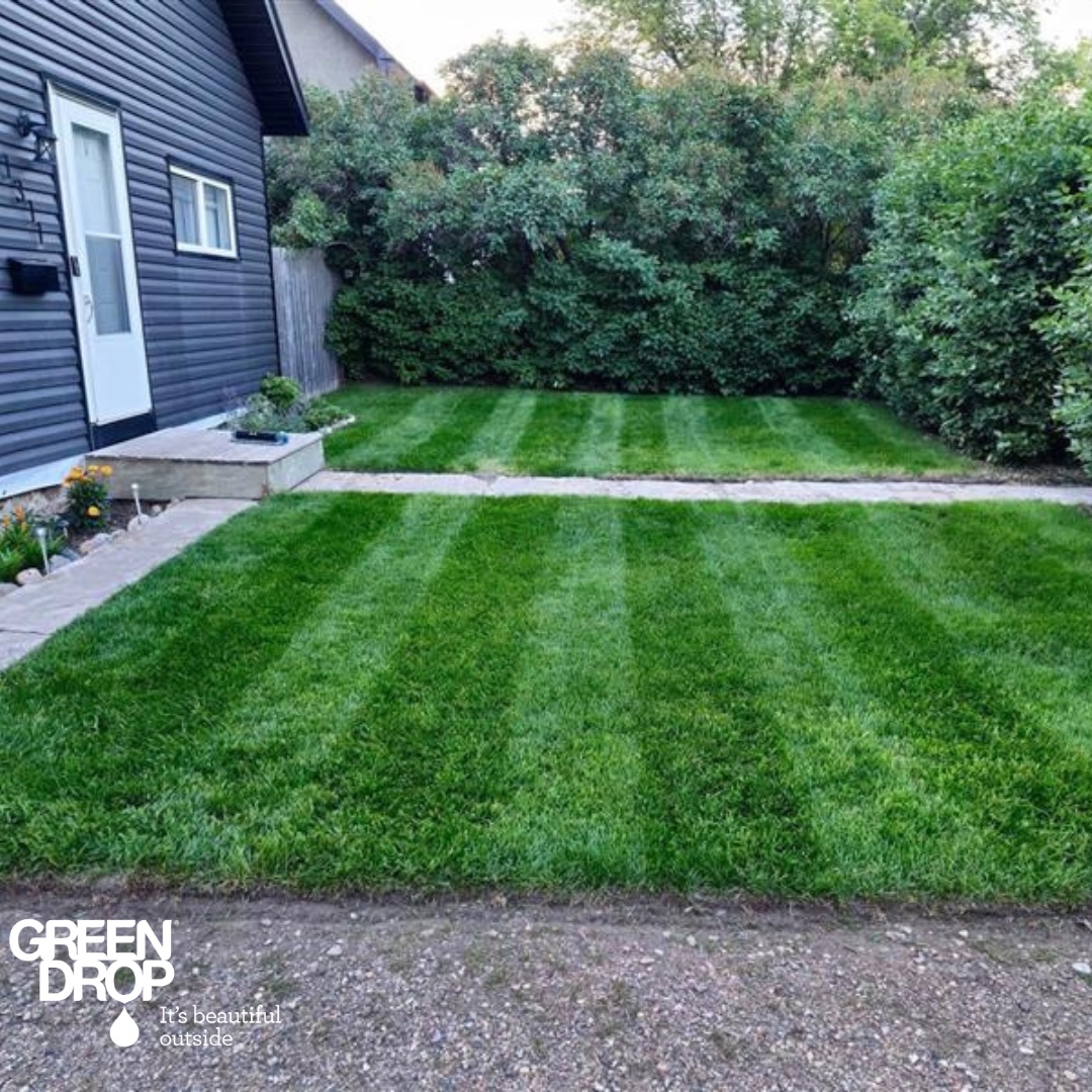 Green Drop tweet media