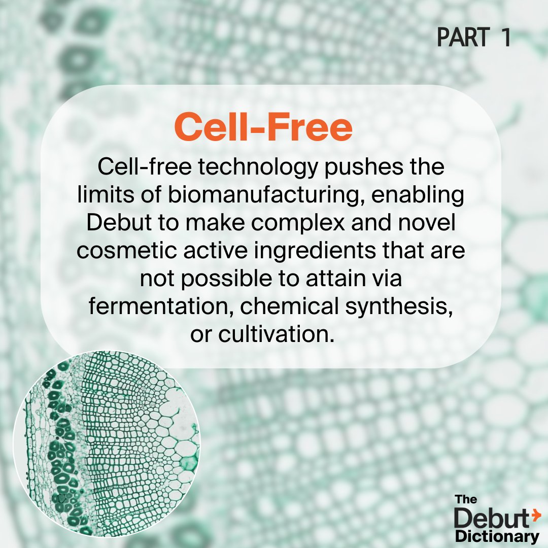Debut_Biotech's tweet photo. Debut’s patented cell-free biomanufacturing enables us to unlock an infinite number of precious, plant-derived biobased active ingredients, giving us exclusive access to a universe of untapped potential, while preserving the planet’s natural resources.

#Debut #biotechbeauty https://t.co/H31Ji8hdHm