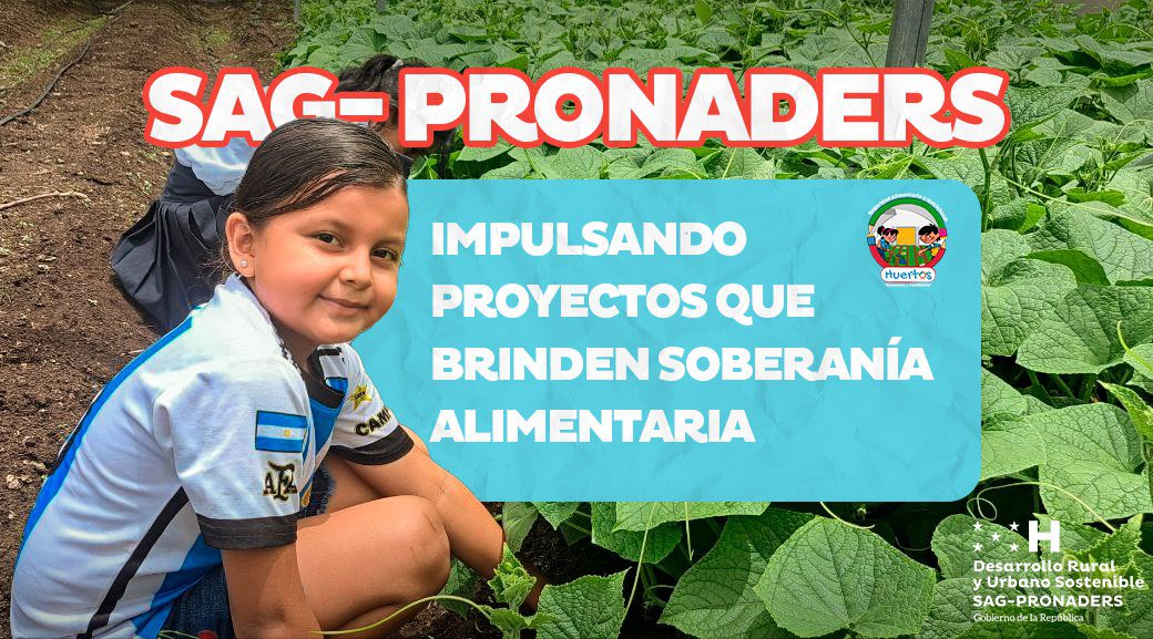 pronaders_hn's tweet photo. 📍 Los pequeños de la Escuela Manuel Milcíades Mendieta en la comunidad de Tablones Abajo, Choluteca, trabajan en su #HuertoPedagógico. 🌱🌱🥗
#XiomaraCumple
#SAGPRONADERS
#SeguridadAlimentaria https://t.co/xgTr9yyOla