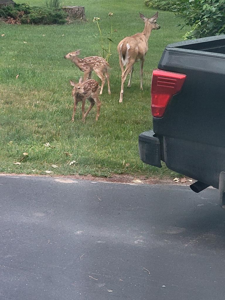 Dan Lucas tweet media