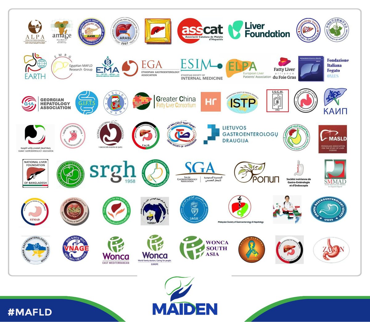 MAIDEN_MAFLD's tweet photo. 🔔🔔 MAIDEN is proud to partner with the following societies and organisations‼️
➡️We are thankful 🙏for the participation of the academic community in our endeavours, which is actually their endeavours. 
➡️The time is now for us to come together 🤝 to tackle MAFLD.
#LiverTwitter #MedTwitter