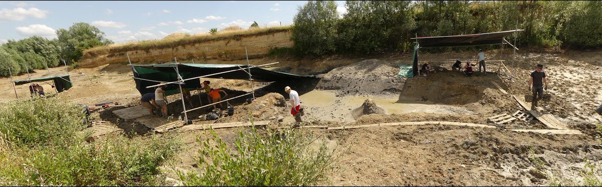 Claire Peyre de Fabrègues tweet media