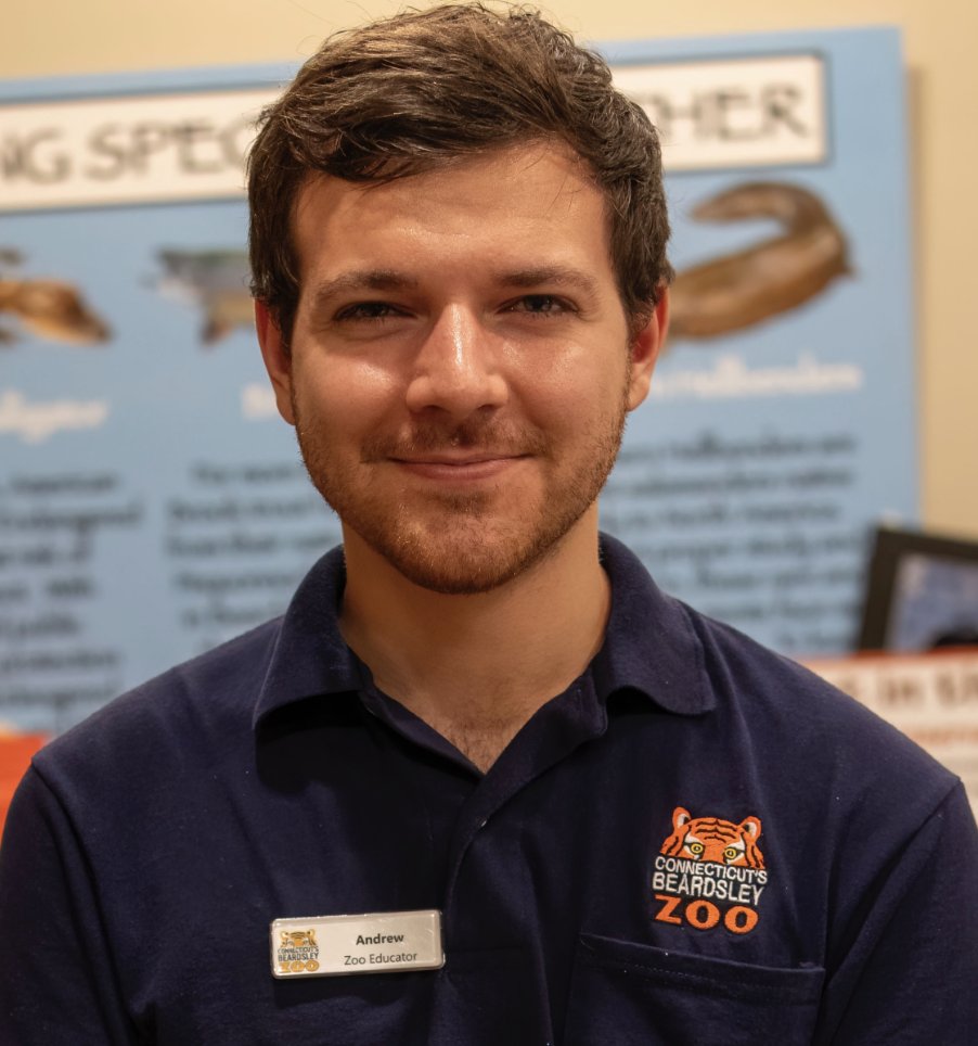 A Beardsley Zoo Educator has driven the ESA to adopt the common name "Peppered Cockroach" ... bit.ly/46IOrDY