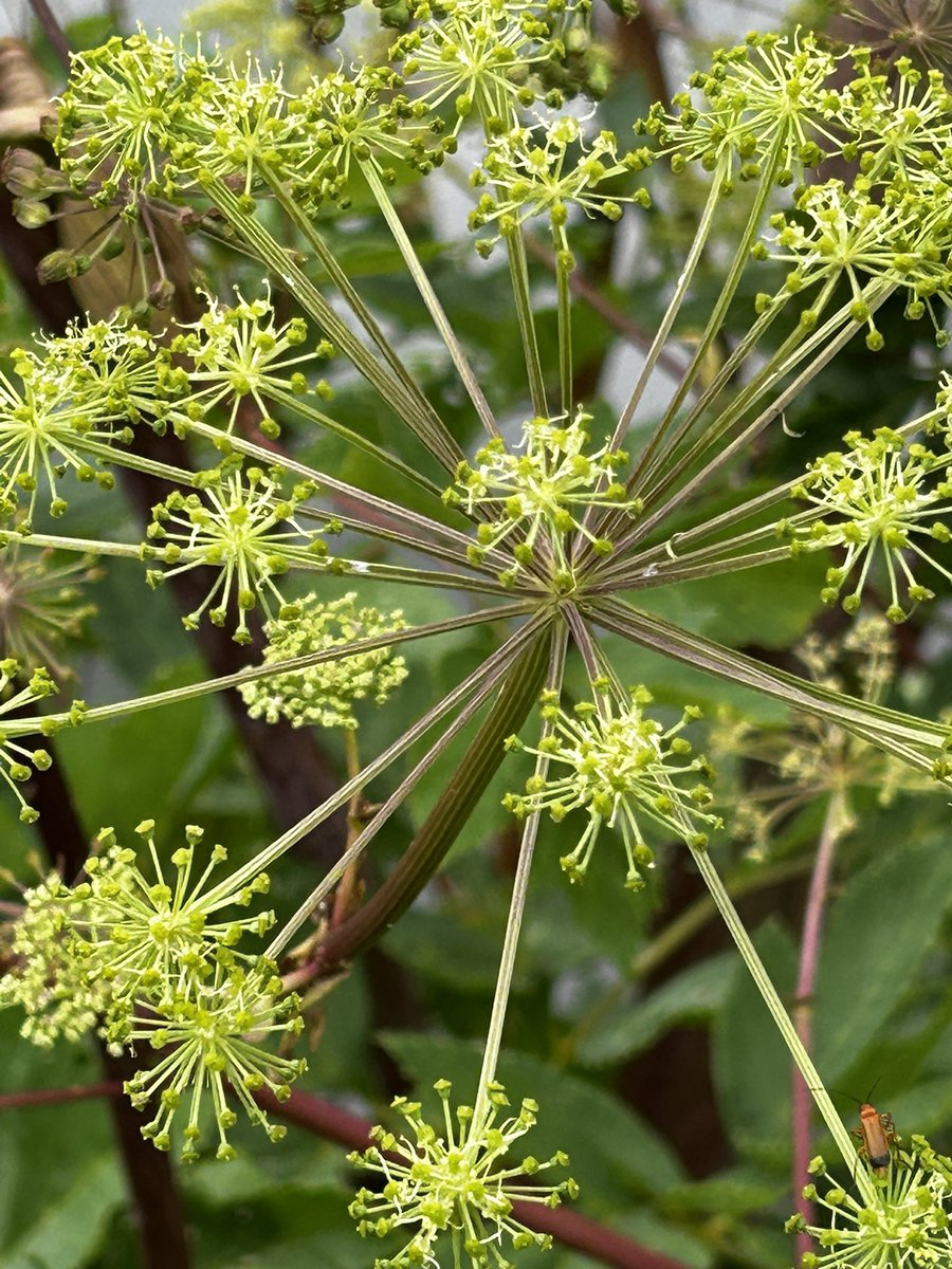 Trevor Cox tweet media