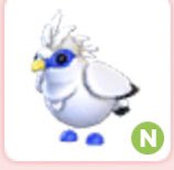 3 PART GIVEAWAY
3 winners
1- axolotl
2- 5 danger eggs
3- neon Bali starling 
rules:
Like and retweet
Follow
Tag 2 friends 
Ends when I hit 800 followers 
Good luck!
#adoptme #adoptmegiveaway #adoptmegiveaways #adoptmegw #adoptmegws #adoptmeoffer