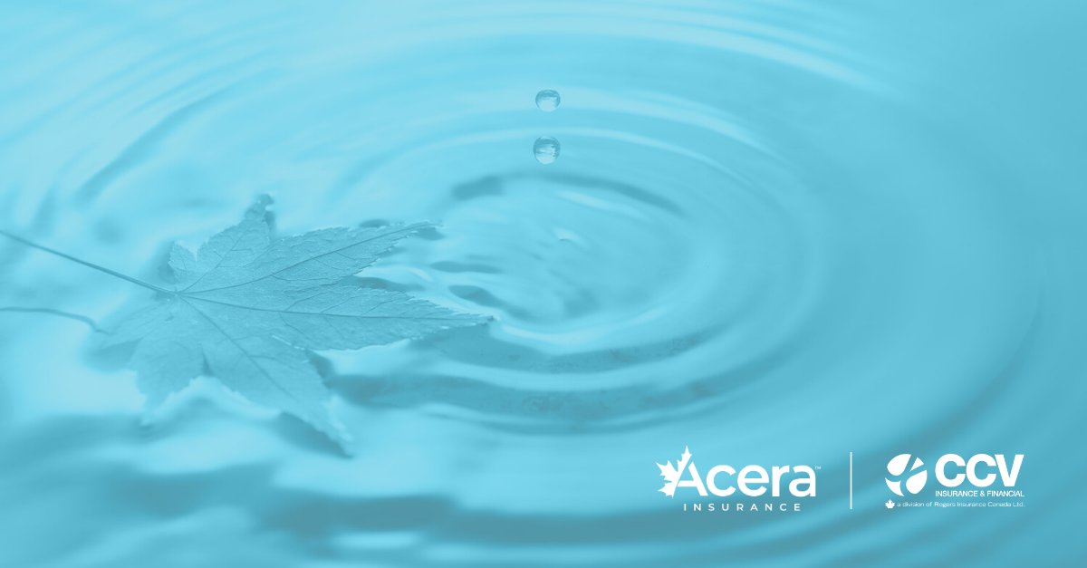 Through our national and international networks and alliances, Acera Insurance provides full insurance and risk management support to our clients operating across Canada and around the world.

Learn more: loom.ly/Yn8o9zI