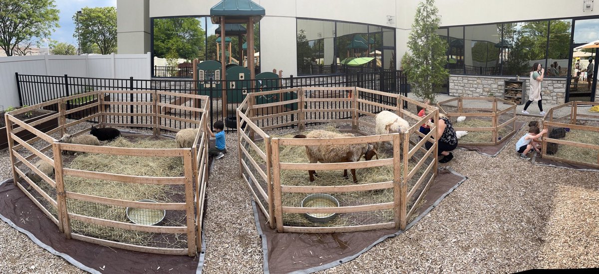 VMPPolaris's tweet image. Some furry friends visited us today!

#montessori #summerprogram #passportaroundtheworld #Europe #France #pettingzoo #polaris