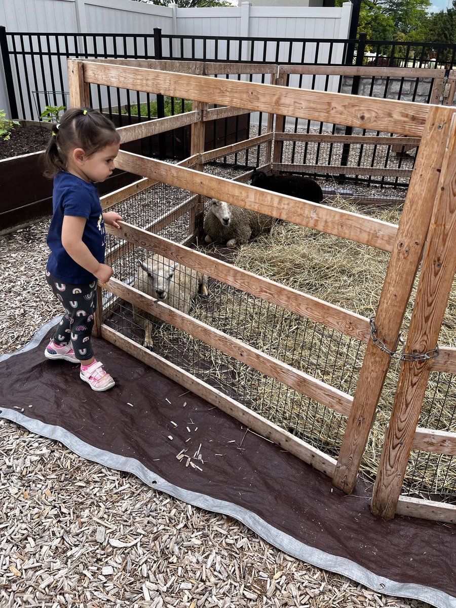 VMPPolaris's tweet image. Some furry friends visited us today!

#montessori #summerprogram #passportaroundtheworld #Europe #France #pettingzoo #polaris