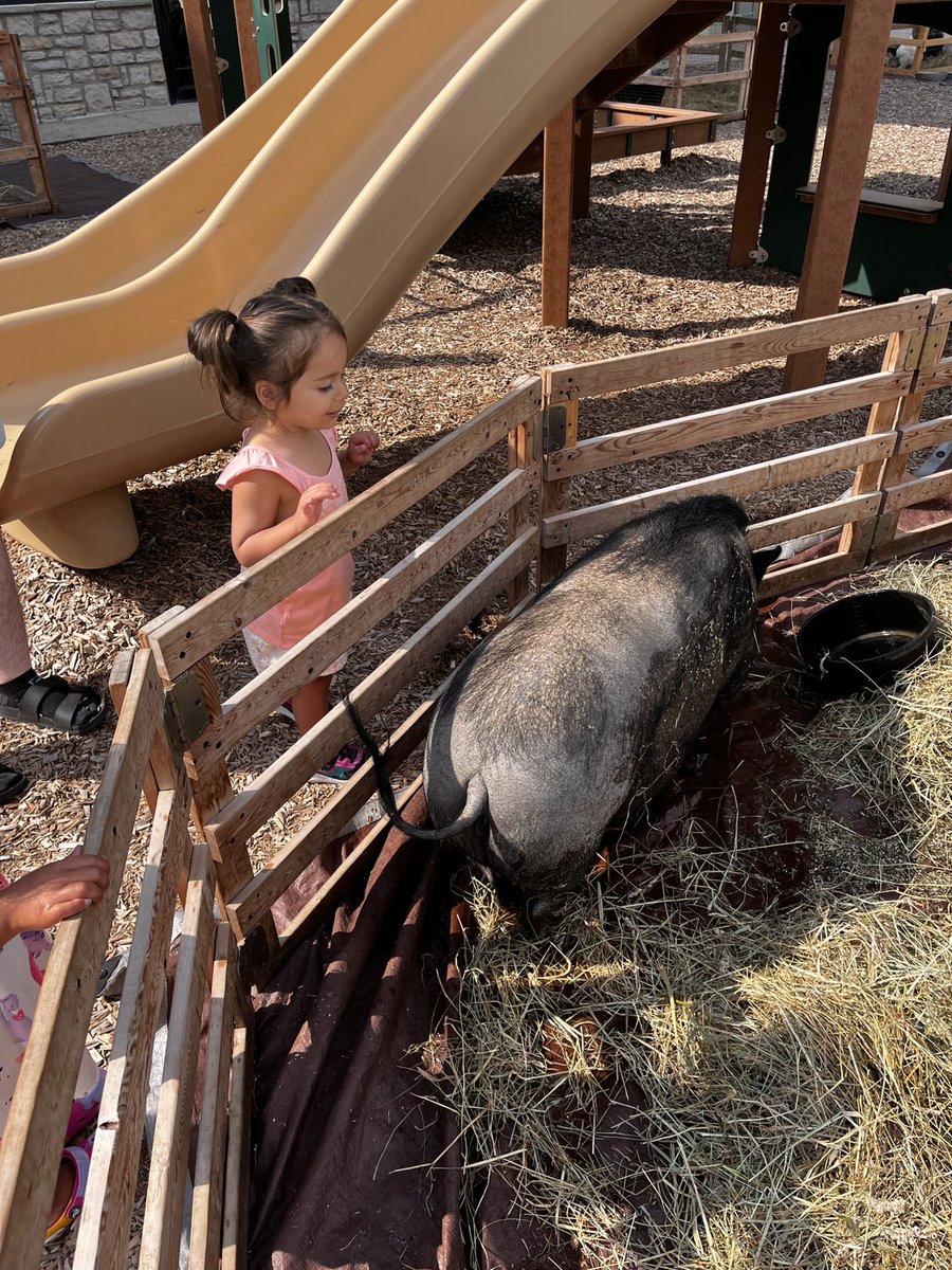 VMPPolaris's tweet image. Some furry friends visited us today!

#montessori #summerprogram #passportaroundtheworld #Europe #France #pettingzoo #polaris