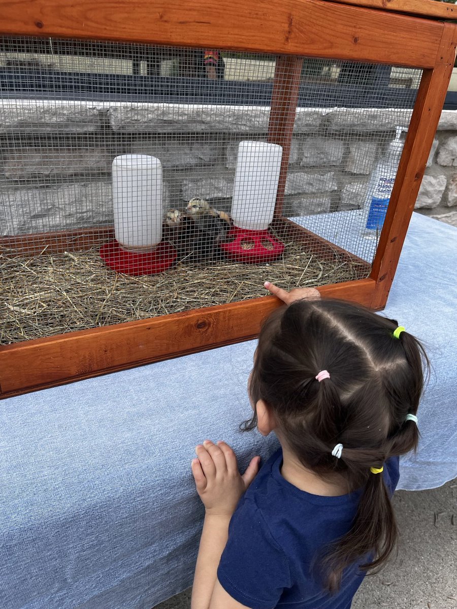 VMPPolaris's tweet image. Some furry friends visited us today!

#montessori #summerprogram #passportaroundtheworld #Europe #France #pettingzoo #polaris
