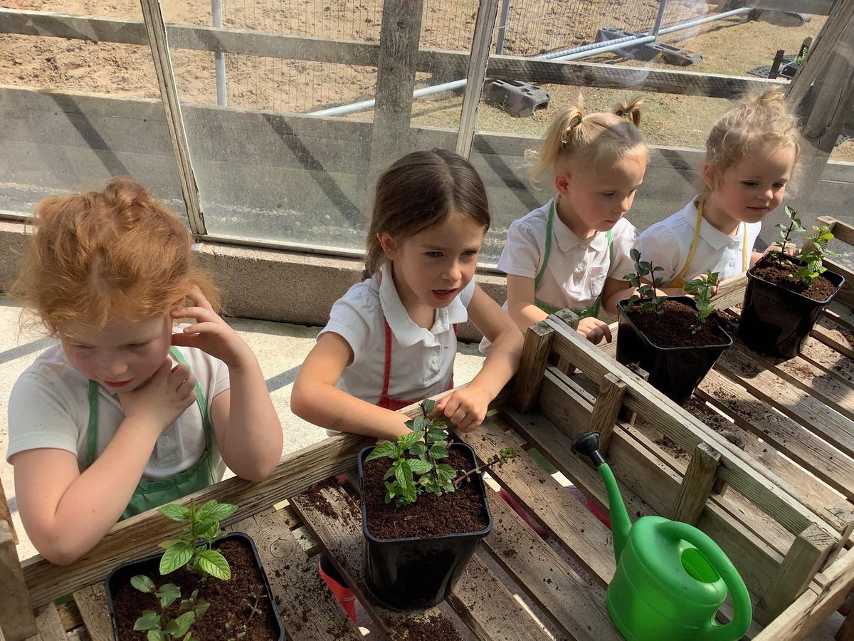 RoebuckSchool's tweet photo. Children in EYFS learning how to care for plants 🪴#EYFS #science #nature #plants https://t.co/mJwDPCAguP