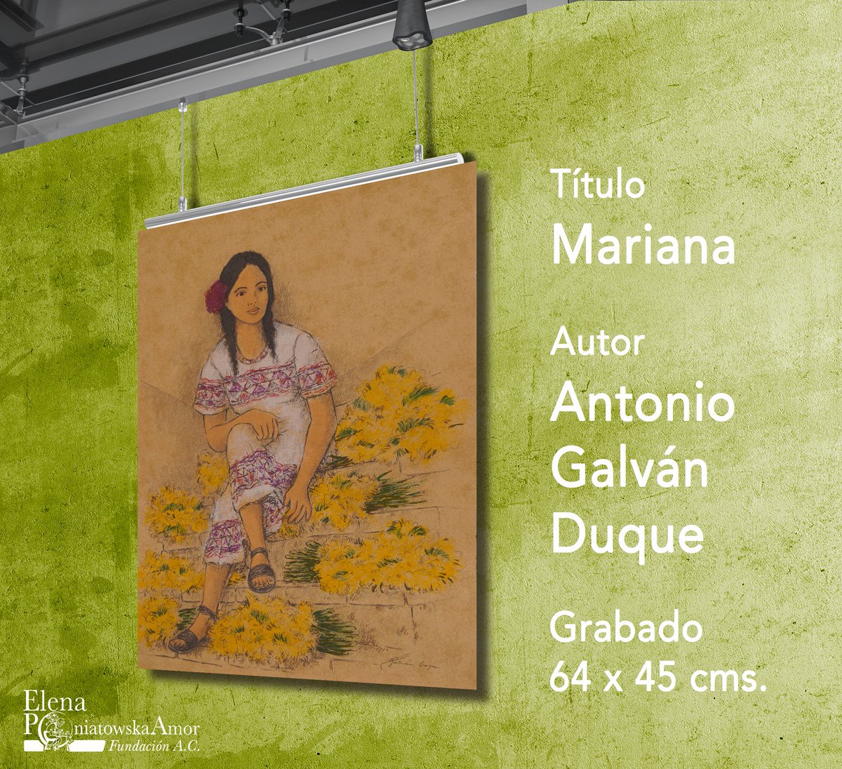 La Fundación Elena Poniatowska Amor pone a la venta obras de arte que gracias a Los Contemporáneos fueron donadas a la Fundación por extraordinarios artistas como Antonio Galván Duque, Juan Calderón, Octavio Ocampo y Raúl Anguiano entre otros.

Catálogo:
contacto@fepa.org.mx