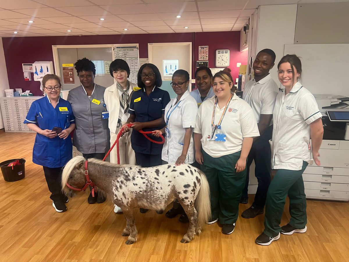 Just horsing around 🐴 on Emerald Ward. 💚Definitely the highlight of the day 🙂Thank you @NorthMidNHS for a great Pet Therapy Session. <a href="/cagoyongg/">glenda</a> <a href="/SarahHa88622902/">Sarah Hayes</a> <a href="/MaryButler_NMUH/">Mary Butler</a> <a href="/AnnaMayCharles1/">Anna-May Charles</a> #NHS #Northmdx