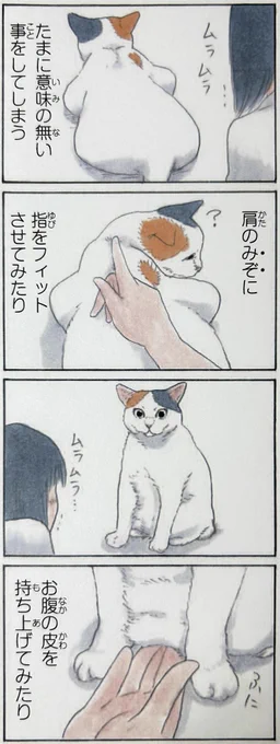 『拾い猫のモチャ8』より