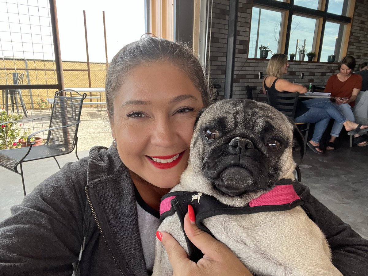 GeneralRoscoPUG's tweet photo. Lyla is my brown eyed girl, just like me! #pugtalk https://t.co/GQsXz4NvsO