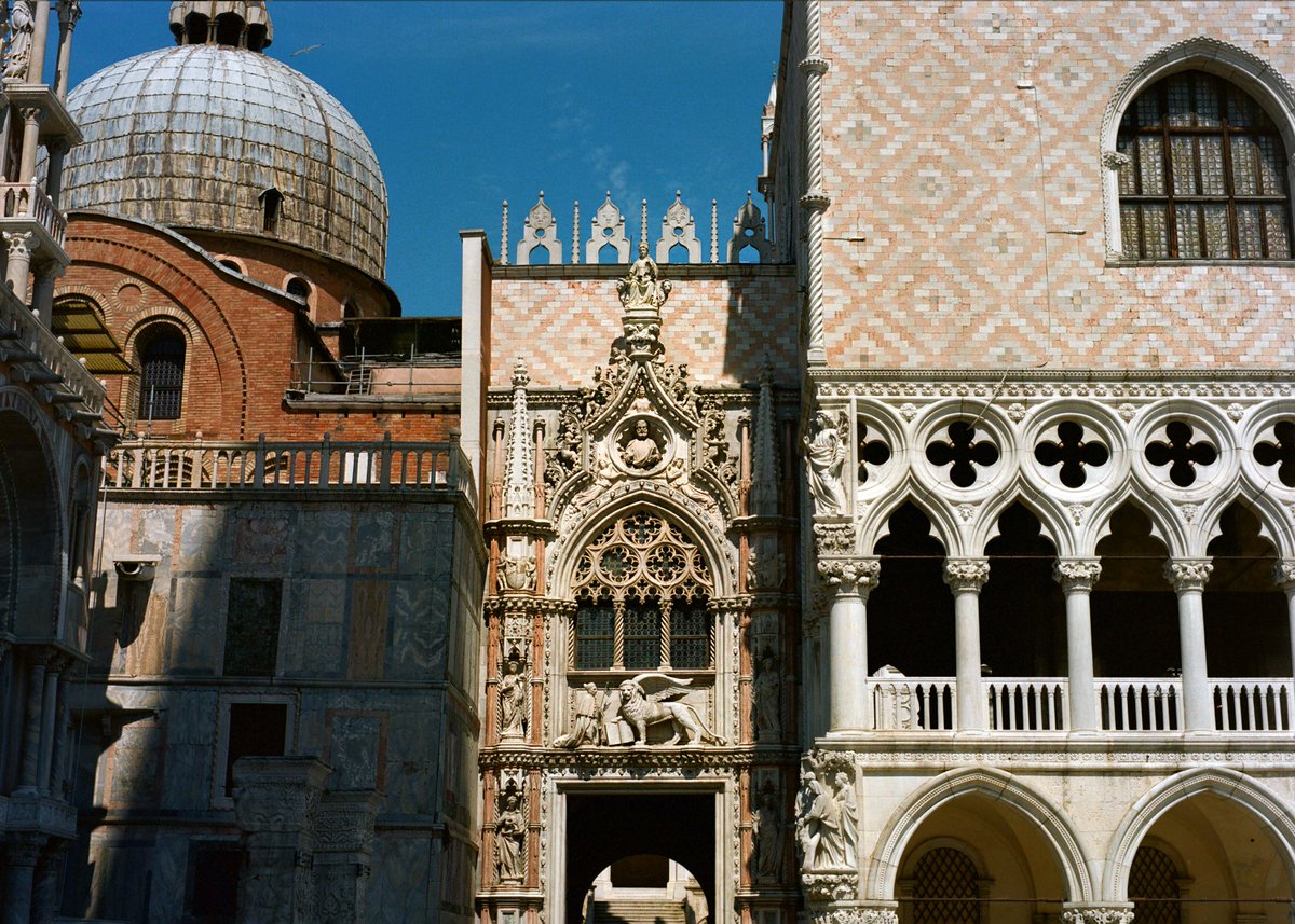 Ryan 📸 tweet media