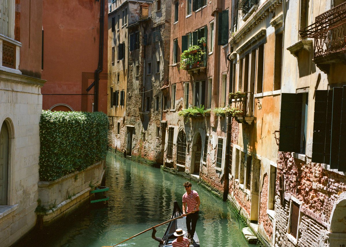 Ryan 📸 tweet media