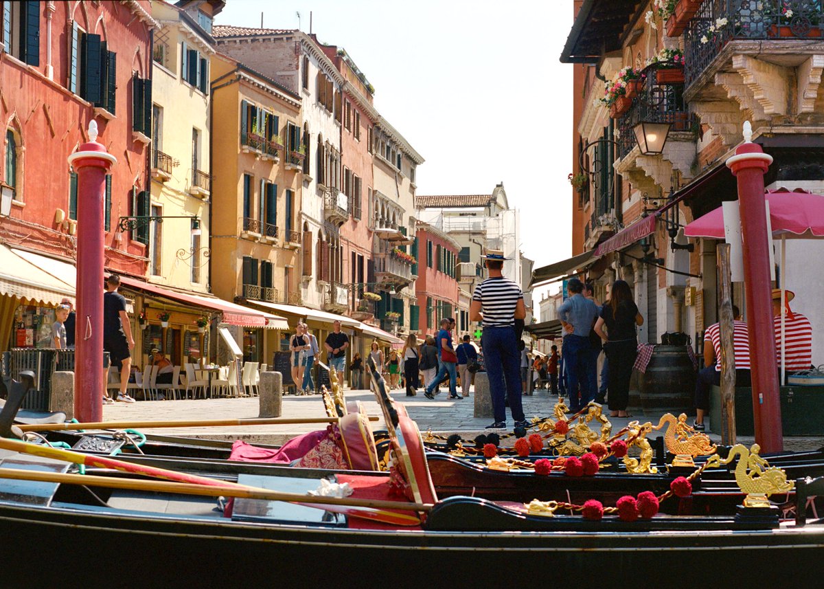 Ryan 📸 tweet media