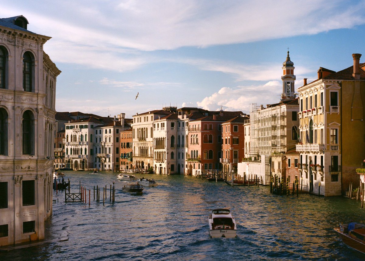 Ryan 📸 tweet media