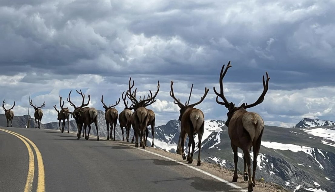 Deb_Waffles2020's tweet photo. It’s cloudy. No sunset tonight. No sleep last night. Have to leave for the hospital at 6am tomorrow. Wanted to share this photo someone took at Rocky Mountain National Park yesterday ❤️
Enjoy the rest of your day..
Pray for our country, President Trump and his family 🙏🏼🇺🇸 LYA https://t.co/IKm4Dj6a0y