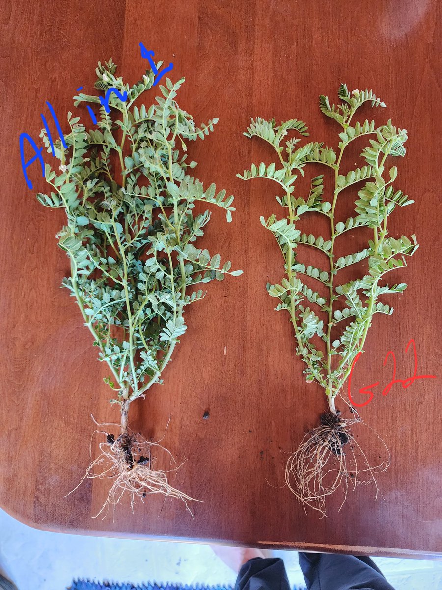 Chad Peters 🧢 tweet media