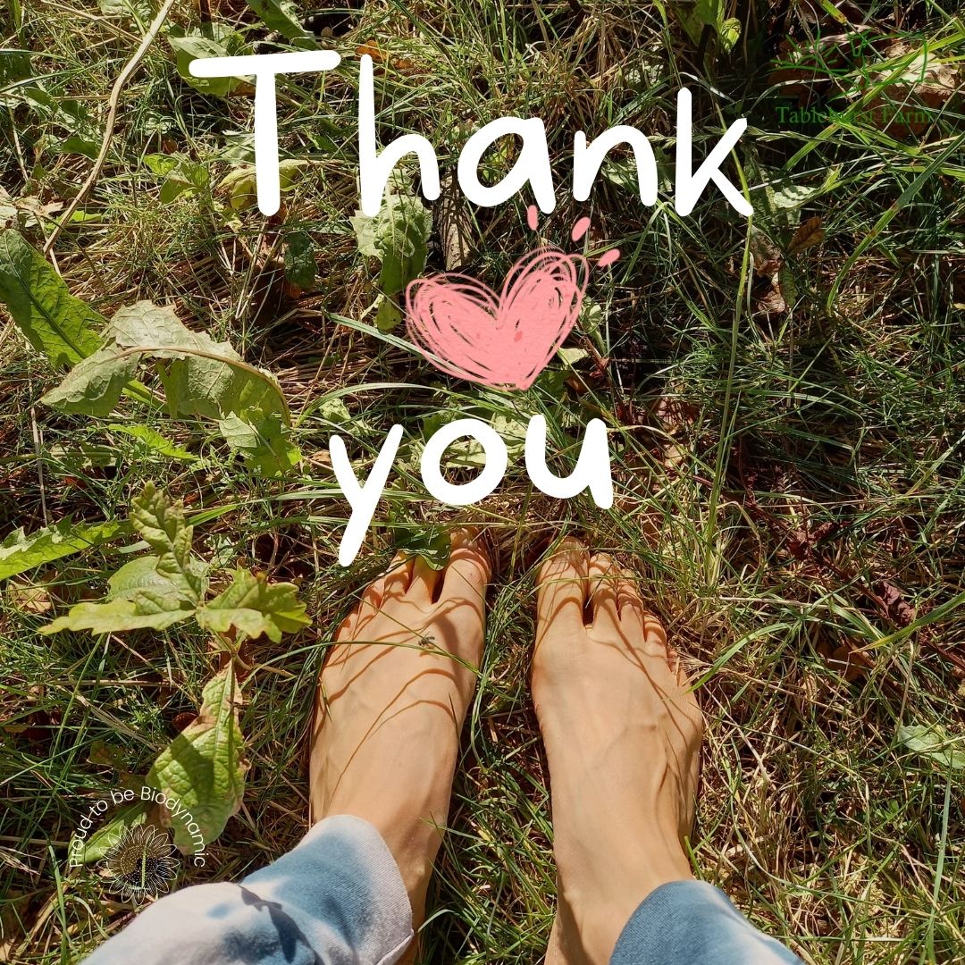 Volunteer Newsletter - *|URL| Thank you to all the volunteers who have taken part in the volunteering program. Volunteering Wednesdays will not longer be running after 19th July. We thank you for all your hard work and enthusiasm.