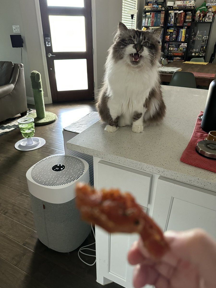 heysally's tweet photo. someone never got the memo that turkey jerky isn’t for little guys like him https://t.co/FOPErukovC