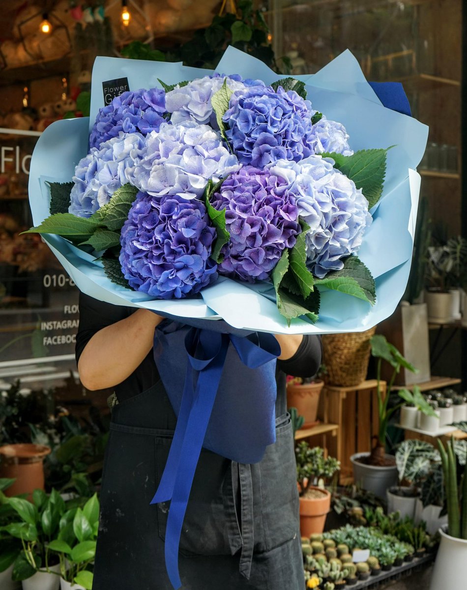 flowergiftkorea's tweet photo. Here's our SUPER HYDRANGEA BOUQUET.
Do you know that hydrangea represents gratitude, grace, and beauty? It also radiates abundance because of the lavish number of flowers and the generous round shape. Its colors symbolize love, harmony, and peace.
#hydrageas #hydrageaflowers https://t.co/R5dwYeY09p