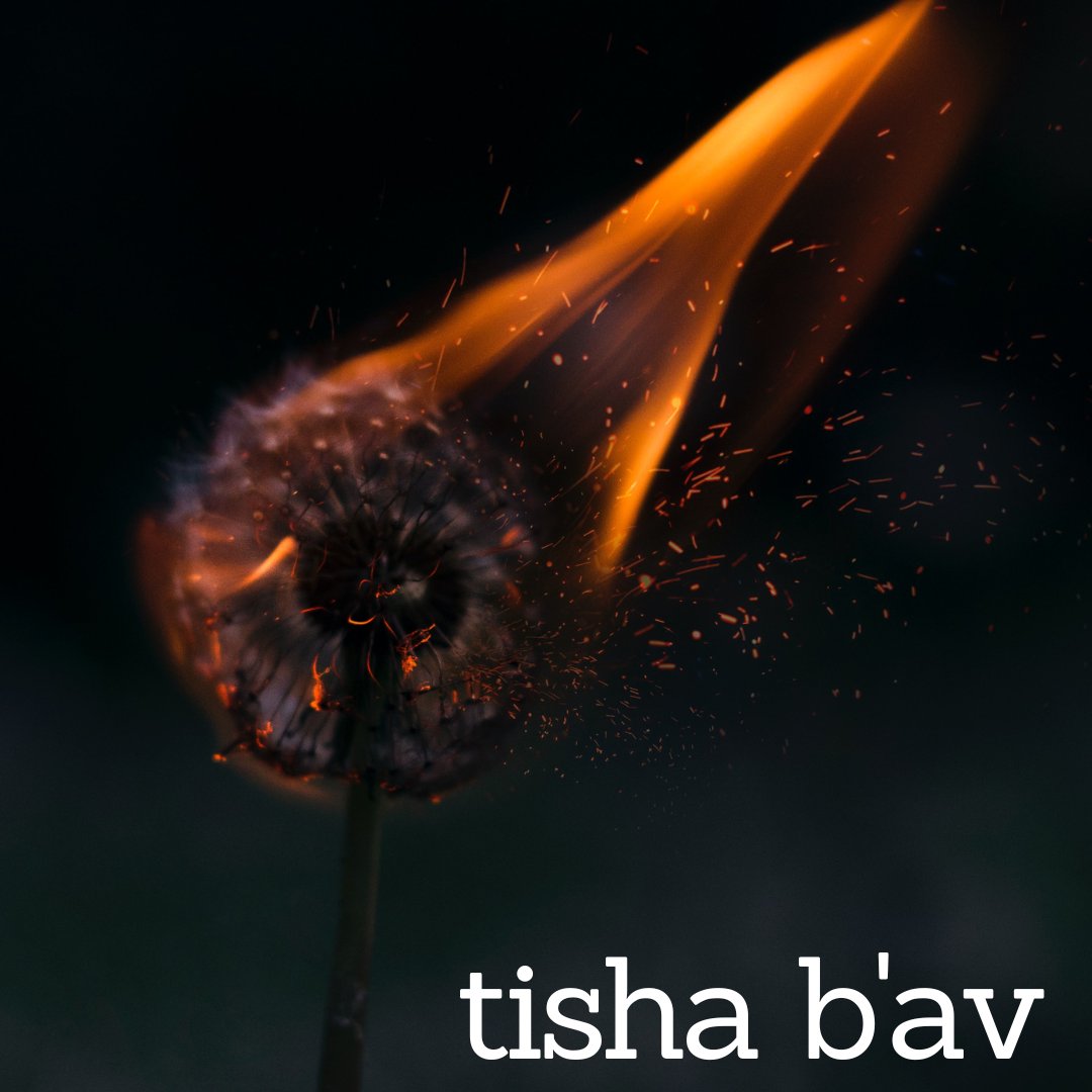 Central Reform Congregation tweet media